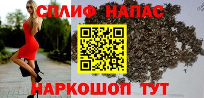 гашик Тара