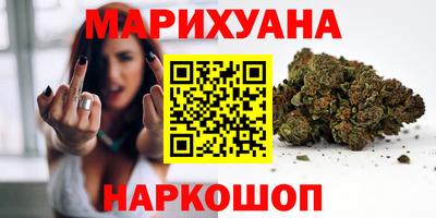 гашик Тара