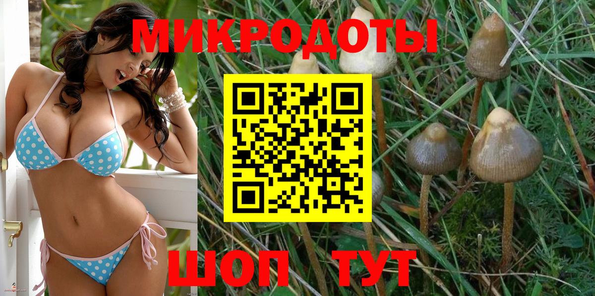 Галлюциногенные грибы Cubensis Бахчисарай