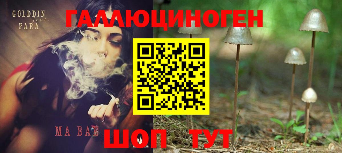 как найти закладки  Галлюциногенные грибы Magic Shrooms  Вход с VPN  Галлюциногенные грибы Psilocybine cubensis  Бахчисарай 